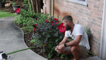 a man with a beard is kneeling down in front of a brick building while a small dog is on a leash