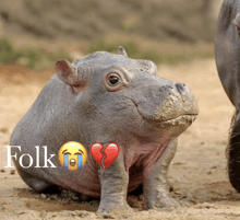 a baby hippo with a broken heart and the word folk written on it