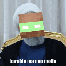 a man with a beard is wearing a minecraft mask with the words haroldo ma non mollo below it