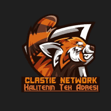 a logo for a company called clastie network with a red panda