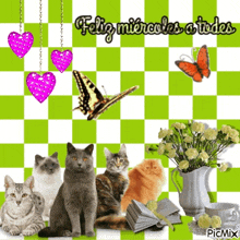 a picture of cats with the words feliz miércoles a todos on it