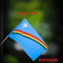 a small blue flag with a rainbow and a white star on it