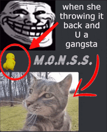 a cat with a troll face and a yellow rubber duck with m.o.n.s.s.