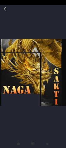 a picture of a golden dragon with the word naga on it