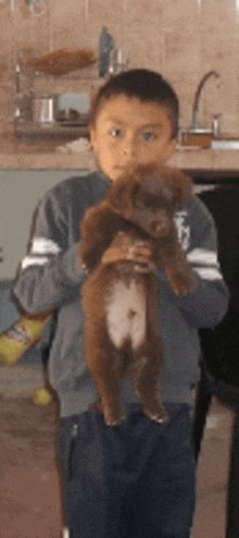 a young boy is holding a brown puppy with the letter t on his sweatshirt