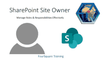 sharepoint site owner manage roles & responsibilities effectively