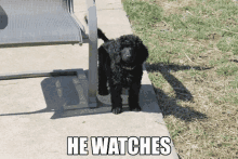 a small black dog standing next to a chair with the words he watches written on the sidewalk