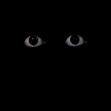 a close up of a person 's eyes in the dark with a black background .
