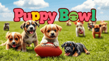 a bunch of puppies are laying in the grass with the words puppy bowl written above them