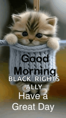 a kitten is hanging from a rope with the words good morning black rights ally have a great day below it