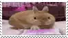 a brown rabbit is sitting on a pink blanket on a bed .