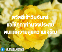 a close up of a yellow flower with the words glitter.mthai written below it