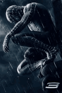 a black and white photo of a spider man sitting in the rain .