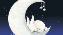 a rabbit is sleeping on a crescent moon