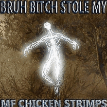 a picture of a ghost with the words bruh bitch stole my me chicken strips on it