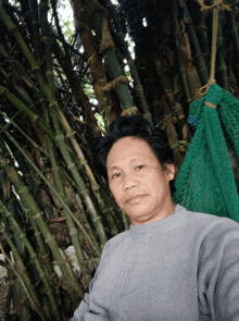 a man in a grey sweater is standing in front of a bamboo forest