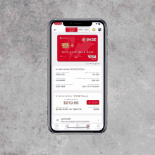 a phone displays a visa card on the screen