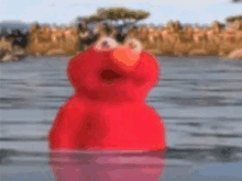 Elmo Likes Water Meme