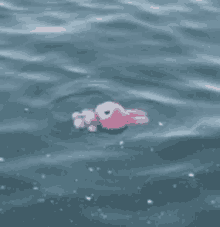 a pink teddy bear is floating in the water .