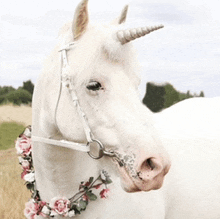 a white horse with a unicorn horn and a floral wreath around its neck