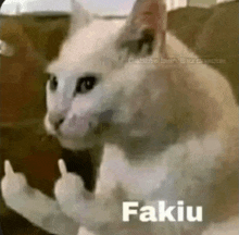 a white cat is giving the middle finger and the word fakiu is on the bottom of the picture .