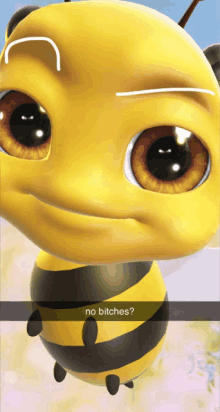 a picture of a bee with the words no bitches below it