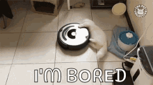 a dog is playing with a robotic vacuum cleaner and says `` i 'm bored ''