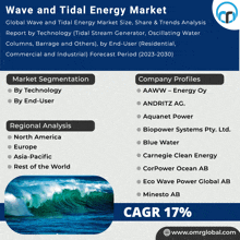 an advertisement for the wave and tidal energy market shows a picture of waves