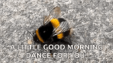 a bee is sitting on the ground and says `` a little good morning dance for you '' .