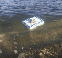 a square cake with blue frosting is floating on top of a body of water