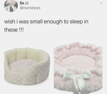 a picture of a dog bed next to a tweet that says wish i was small enough to sleep in these !!!
