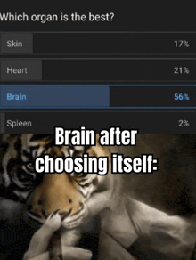 a picture of a tiger with the words brain after choosing itself at the bottom
