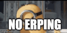 a picture of a minion with the words no erping