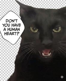 a black cat says " do n't you have a human heart ? "