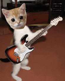 a cat is holding a fender guitar in front of a tv