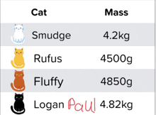 a list of cats with the name logan paul at the top