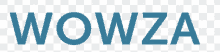 the word wowza is displayed in blue letters on a checkered background