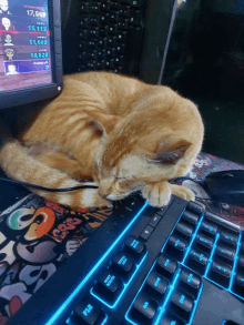 a cat is sleeping on top of a keyboard with a sticker on it that says sonic