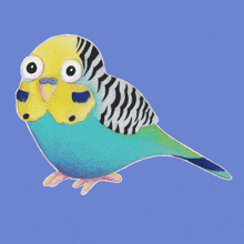 a cartoon drawing of a blue and yellow parakeet with big eyes