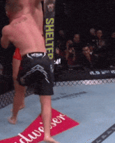 two men are fighting in a ring with a sign that says shelter