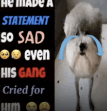 a dog is crying with tears coming out of its nose