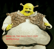 a picture of shrek with a caption that says smiej sie tak dalej to ci zeby wypier dole