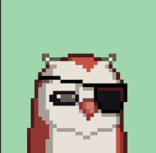 a pixel art of an owl wearing sunglasses and a bandage on its eye