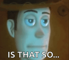 a picture of woody from toy story with the words is that so on the bottom