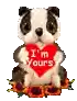 a bulldog puppy is holding a red heart with the words `` i 'm yours '' written on it .