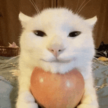 a white cat is holding a heart in its paws