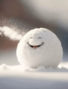 a snowball with a face drawn on it is smiling