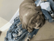 a bulldog puppy is sleeping on a blue blanket on a table .