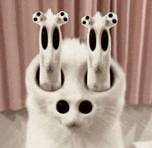 a close up of a cat 's face with two ghosts sticking out of it 's eyes