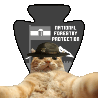 a cat wearing a ranger hat is laying in front of a national forestry protection emblem